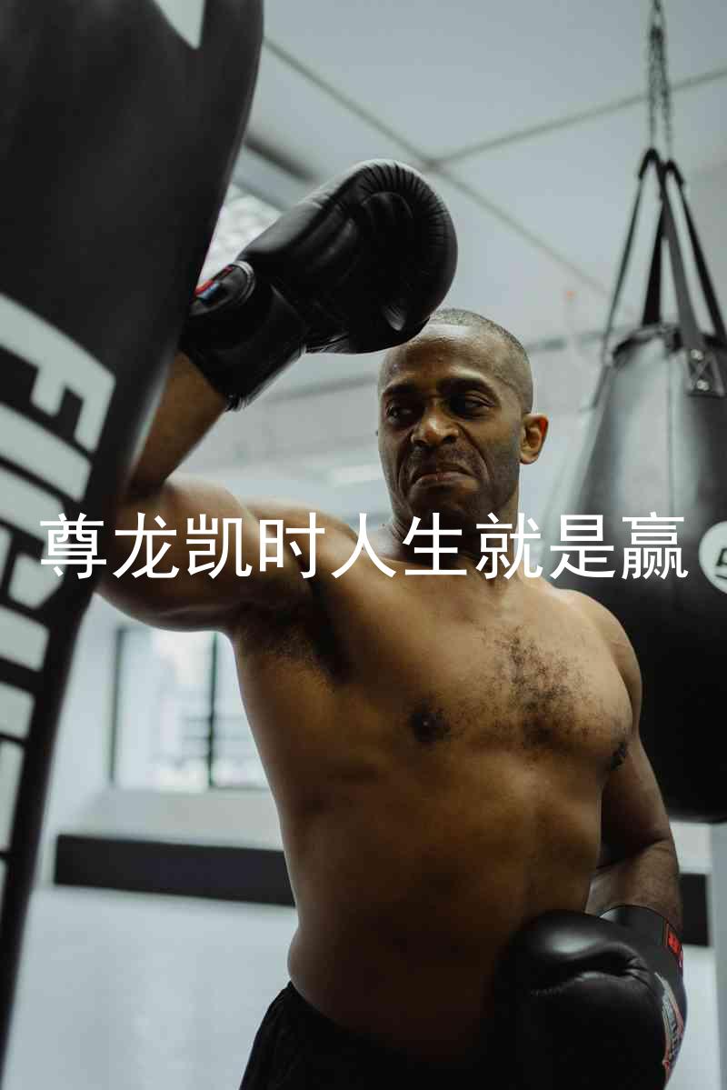 尊龙凯时人生就是赢