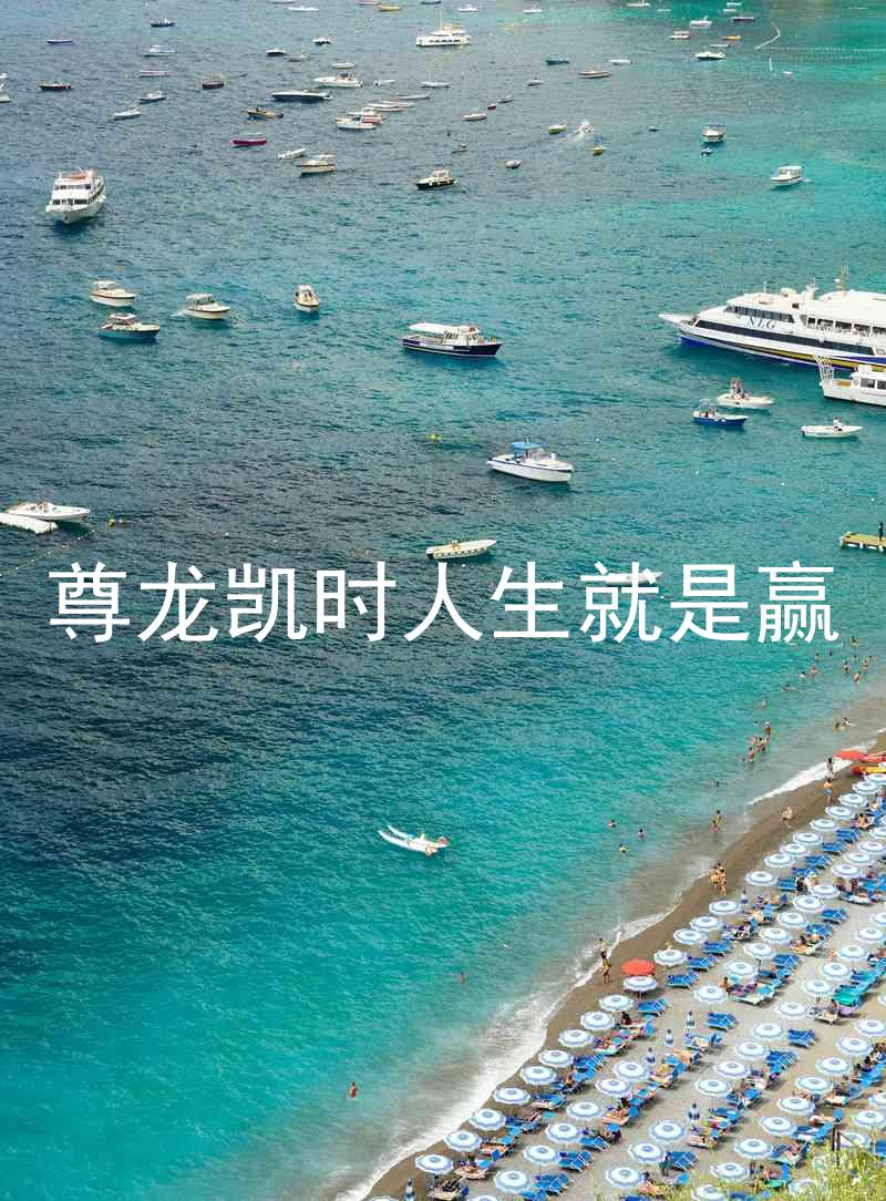 尊龙凯时人生就是赢